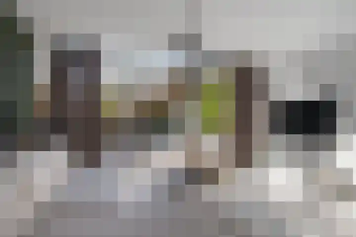 Acaciastraat 97 Breda thumbnail 7