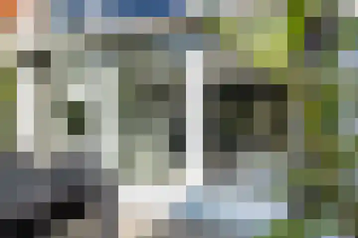 Acaciastraat 97 Breda thumbnail 8