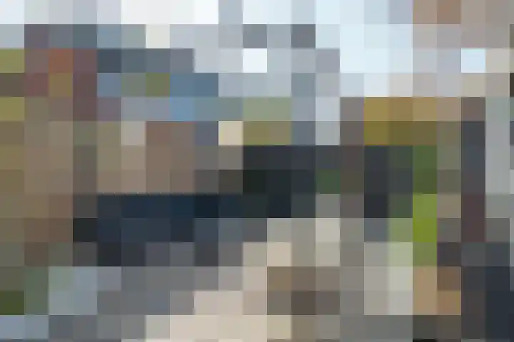 Acaciastraat 97 Breda thumbnail 9