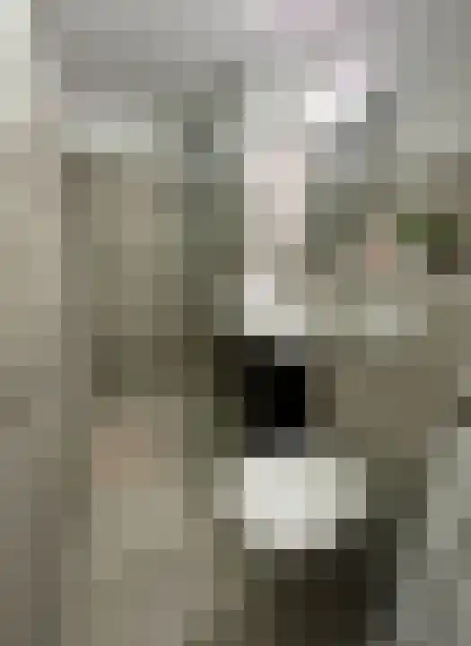 Acaciastraat Den Haag thumbnail 4