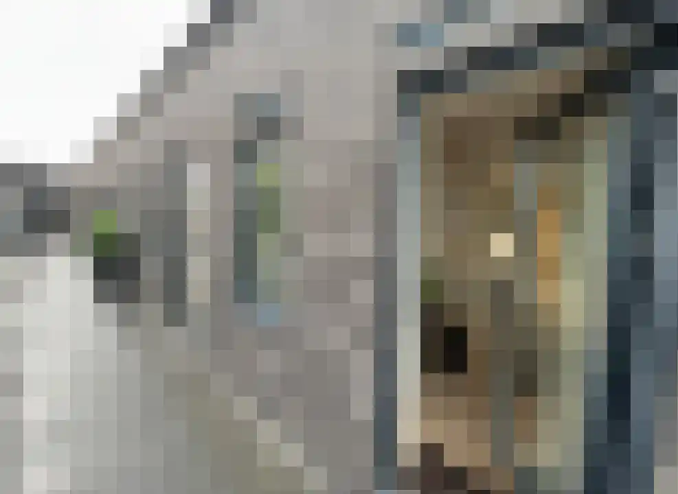 Acaciastraat Den Haag thumbnail 5