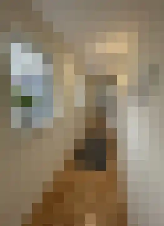Acaciastraat Den Haag thumbnail 6
