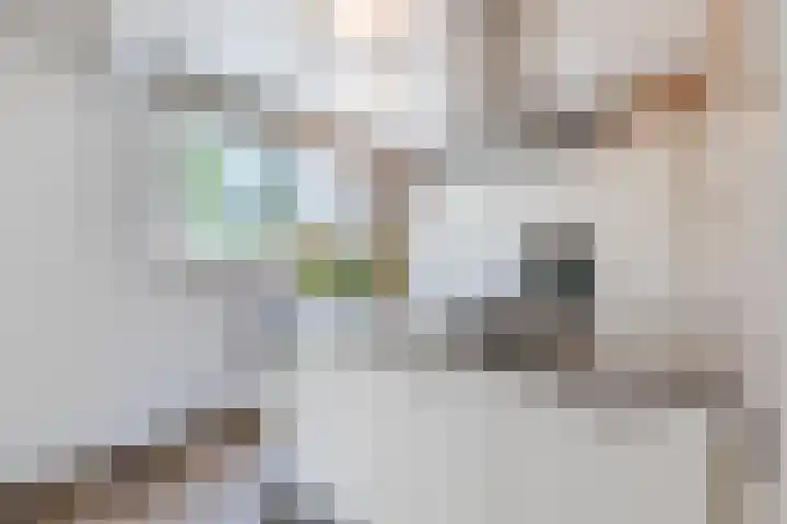 Acaciaweg 19 Venlo thumbnail 15