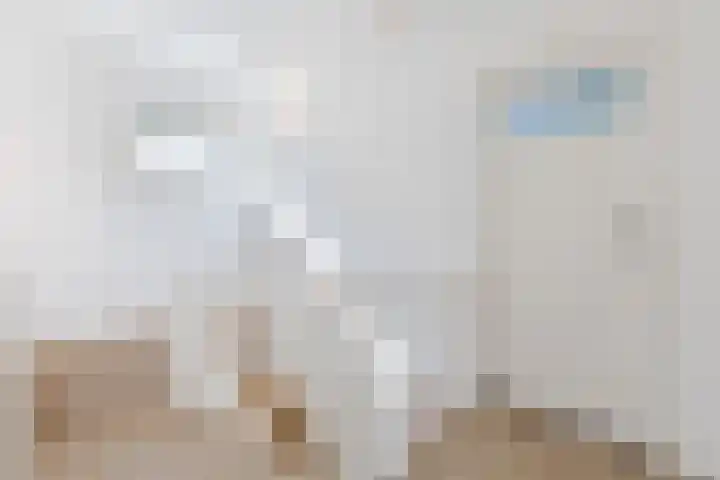 Acaciaweg 19 Venlo thumbnail 23