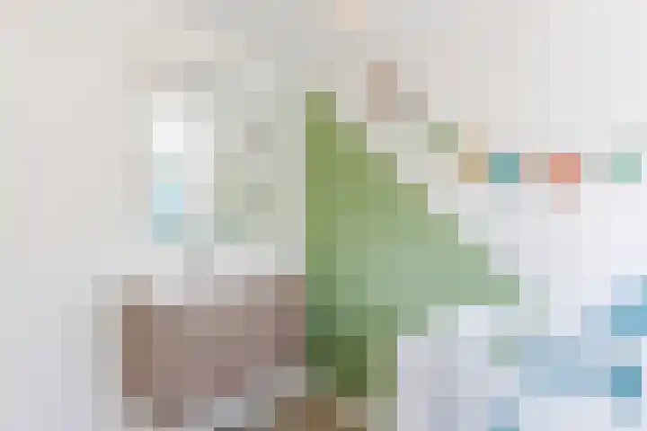 Acaciaweg 19 Venlo thumbnail 27