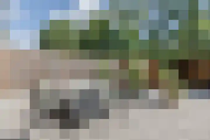 Acaciaweg 19 Venlo thumbnail 35