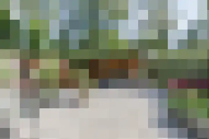 Acaciaweg 19 Venlo thumbnail 36