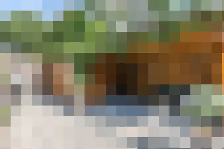 Acaciaweg 19 Venlo thumbnail 38