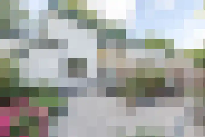 Acaciaweg 19 Venlo thumbnail 39