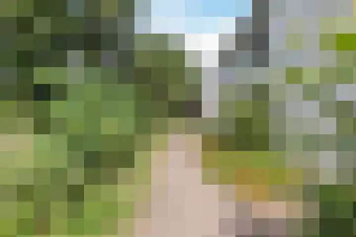 Acaciaweg 19 Venlo thumbnail 4