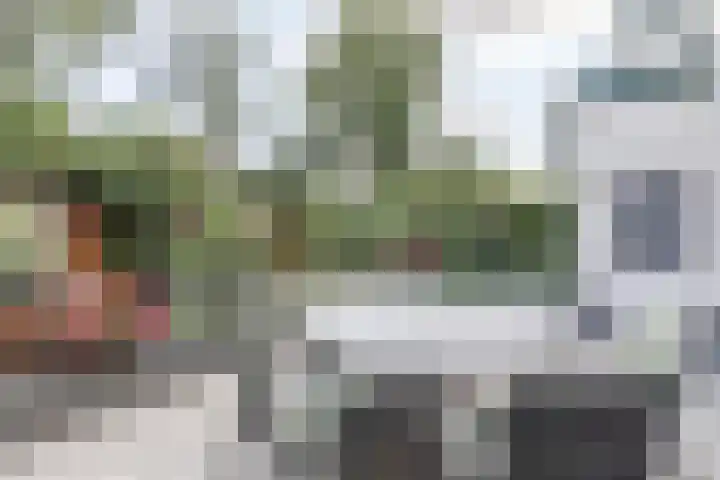 Acaciaweg 19 Venlo thumbnail 41