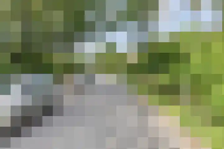 Acaciaweg 19 Venlo thumbnail 42