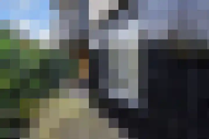 Acaciazoom 61 Zoetermeer thumbnail 24