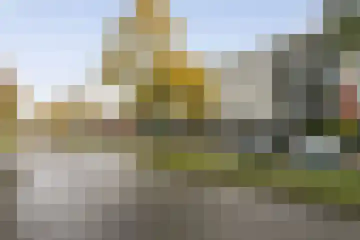 Acaciazoom 61 Zoetermeer thumbnail 31