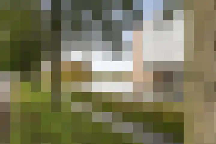 Acaciazoom 61 Zoetermeer thumbnail 32