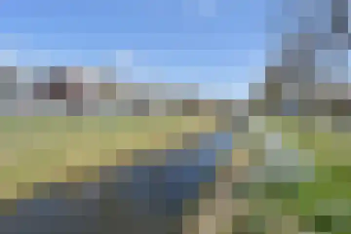 Acaciazoom 61 Zoetermeer thumbnail 34