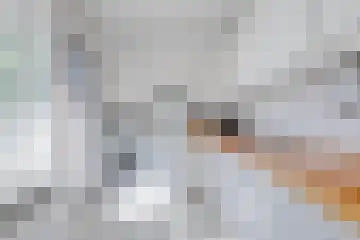 Academielaan 21 Tilburg thumbnail 16