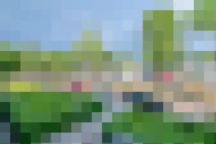 Academielaan 21 Tilburg thumbnail 22