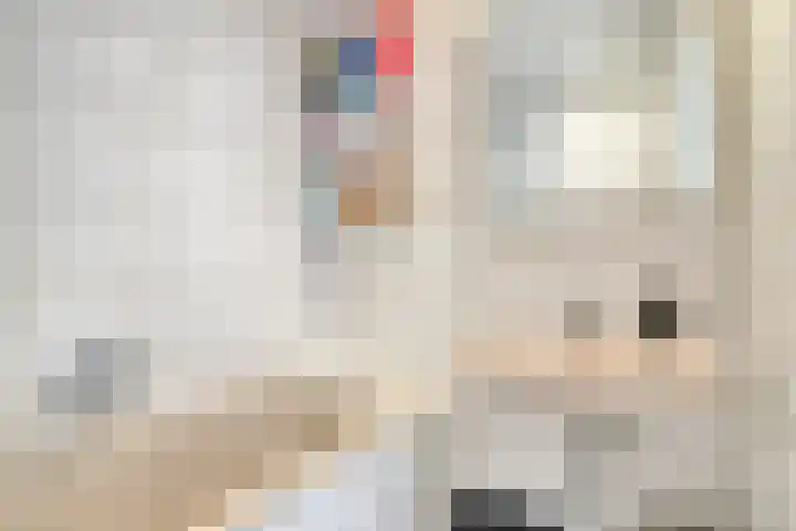 Academielaan 21 Tilburg thumbnail 27