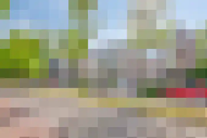 Academielaan 21 Tilburg thumbnail 29