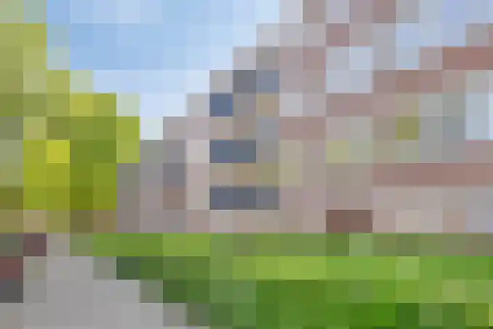 Academielaan 21 Tilburg thumbnail 7