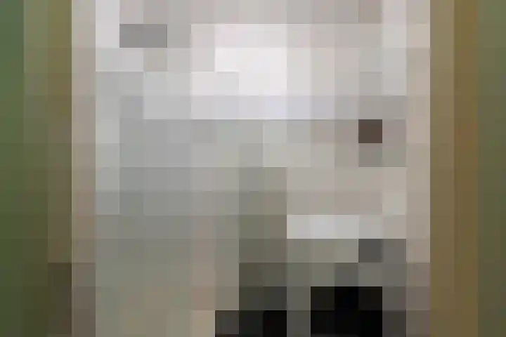 Academielaan 27 Tilburg thumbnail 22