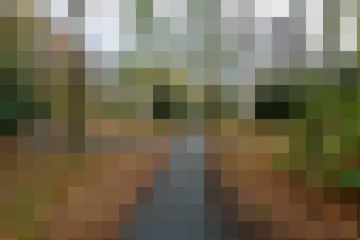 Academielaan 27 Tilburg thumbnail 28