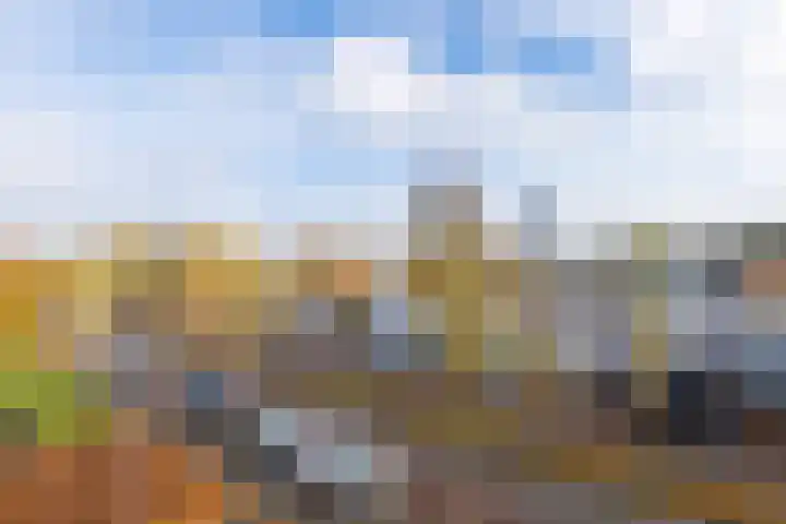 Academielaan 27 Tilburg thumbnail 8