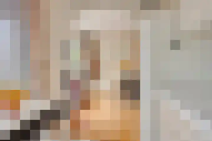 Academielaan 35 Tilburg thumbnail 11