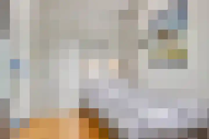 Academielaan 35 Tilburg thumbnail 16