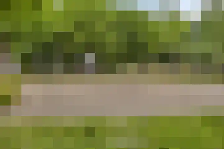 Academielaan 35 Tilburg thumbnail 21