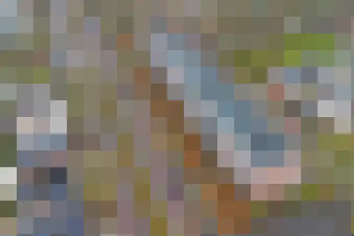 Academielaan 41 Tilburg thumbnail 18
