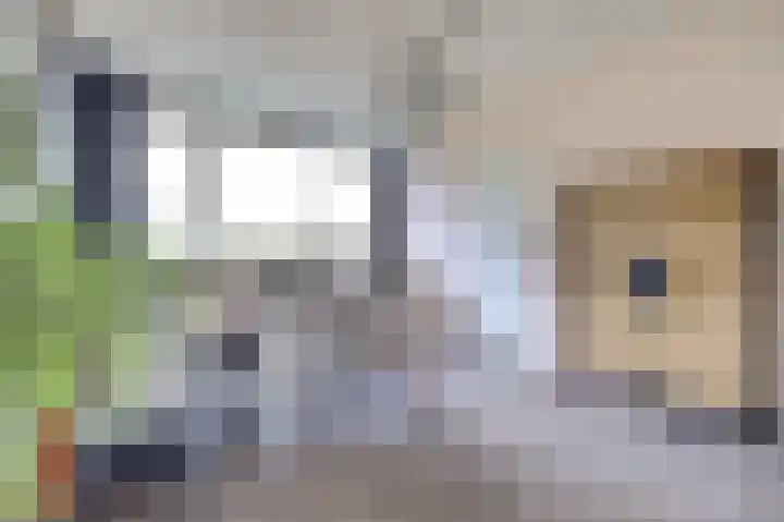 Academielaan 41 Tilburg thumbnail 7