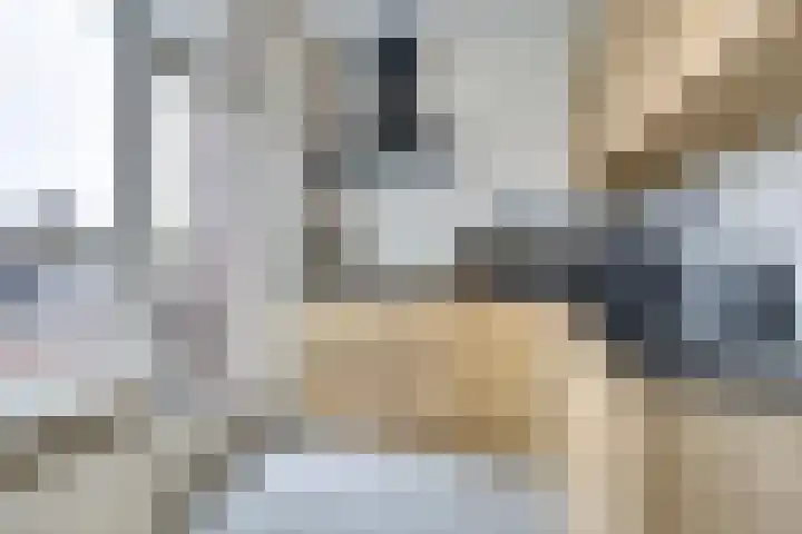 Academielaan 41 Tilburg thumbnail 9