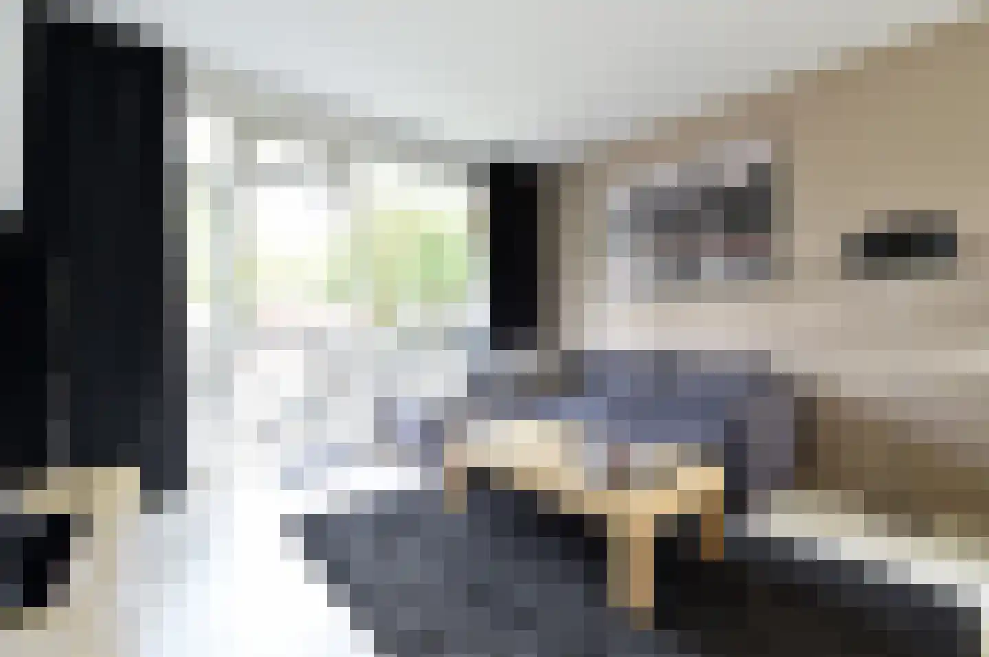 Academielaan 45 Tilburg thumbnail 12
