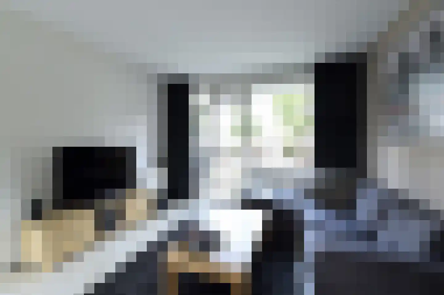 Academielaan 45 Tilburg thumbnail 13