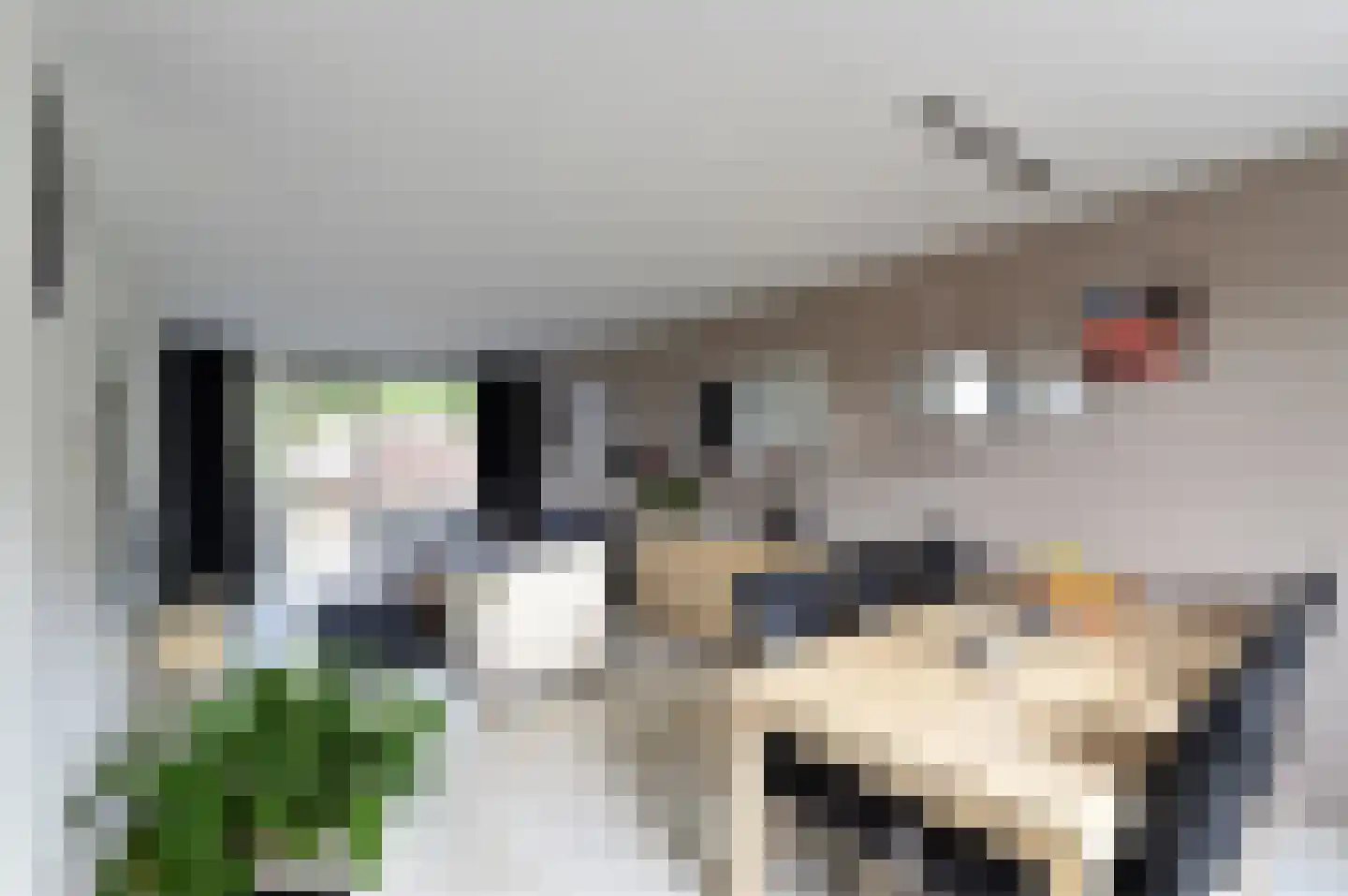 Academielaan 45 Tilburg thumbnail 19