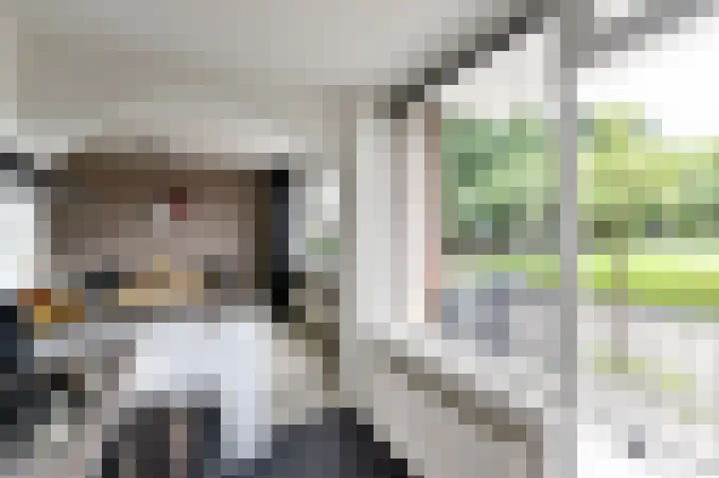 Academielaan 45 Tilburg thumbnail 24