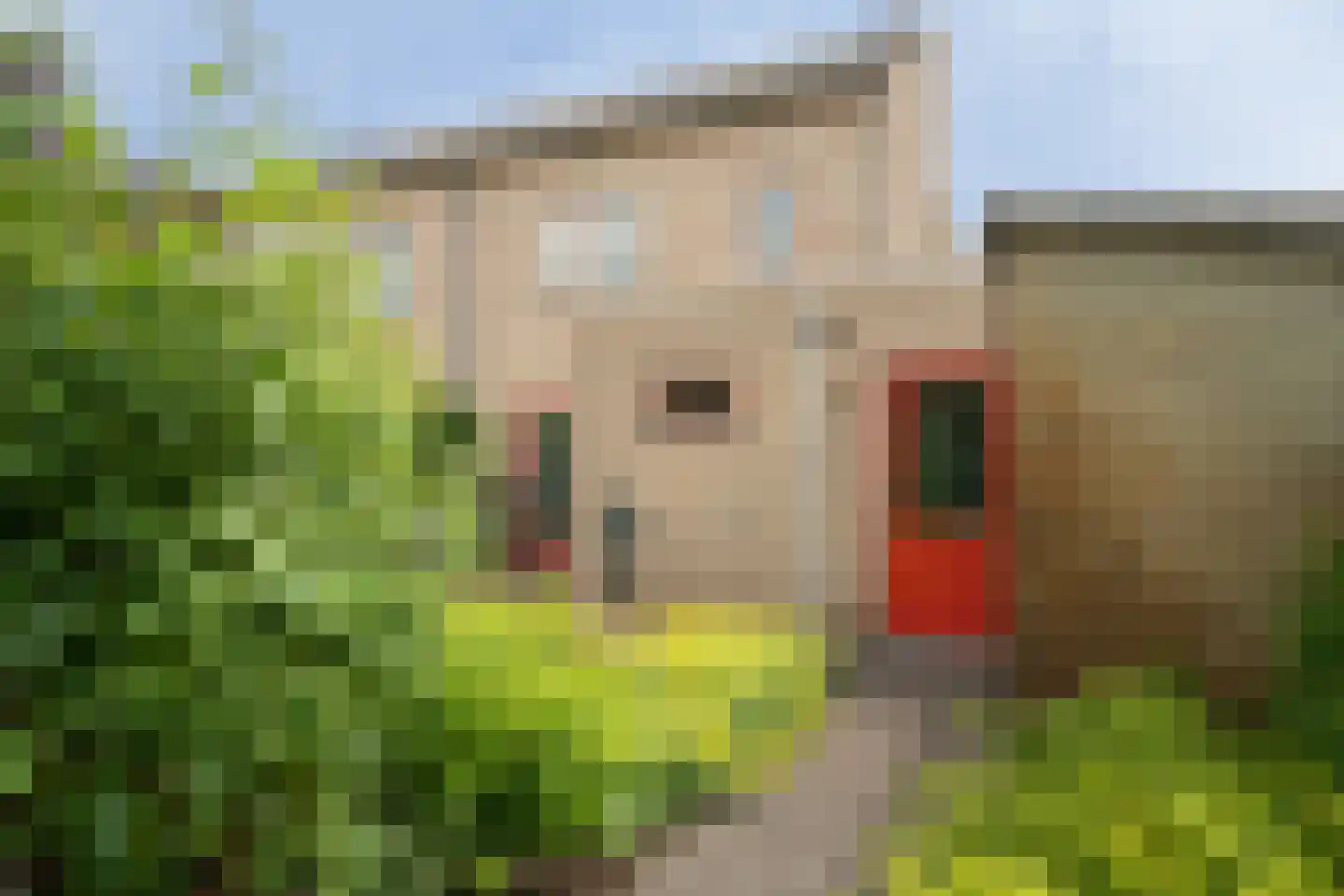 Academielaan 5 Raamsdonksveer thumbnail 23