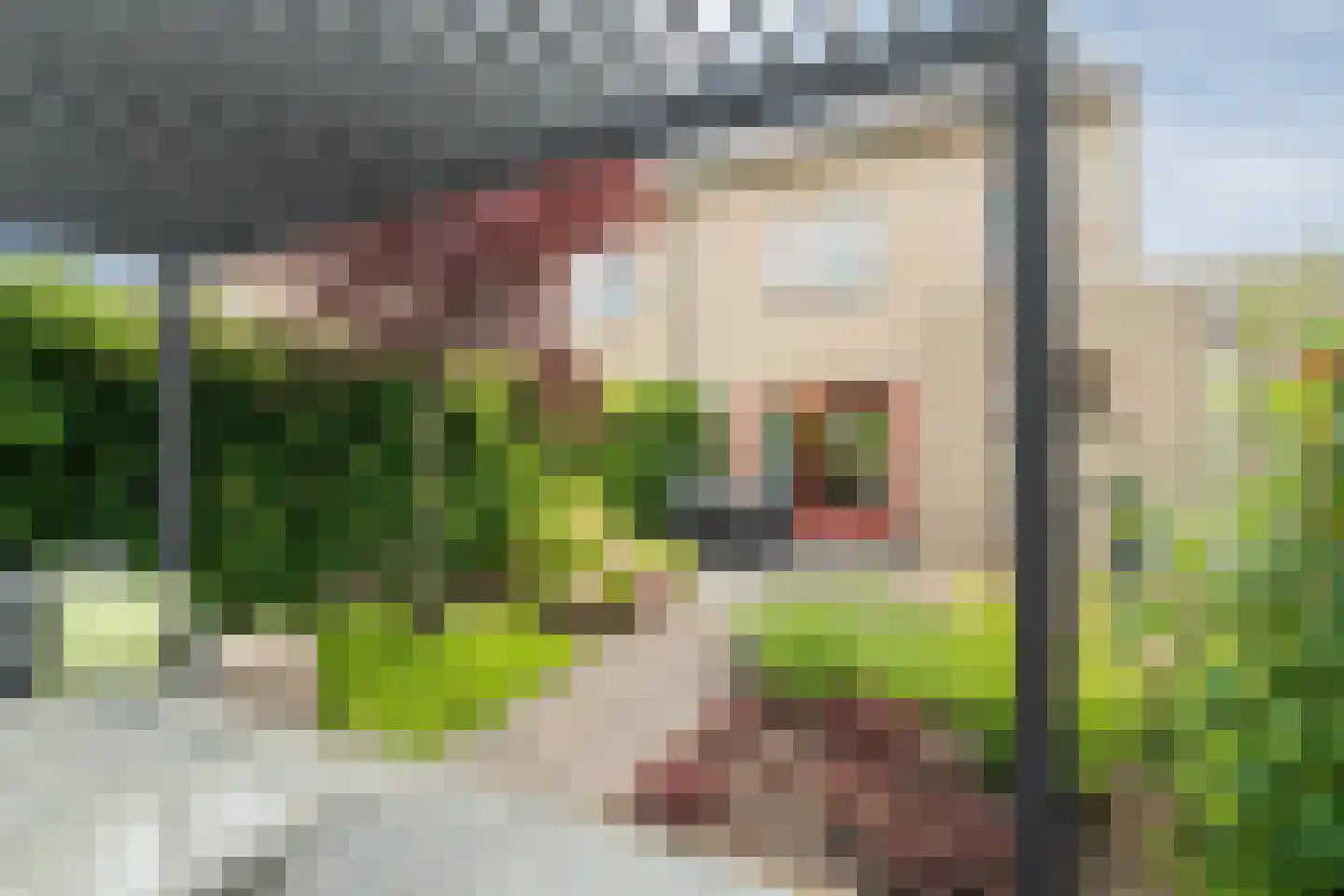 Academielaan 5 Raamsdonksveer thumbnail 24