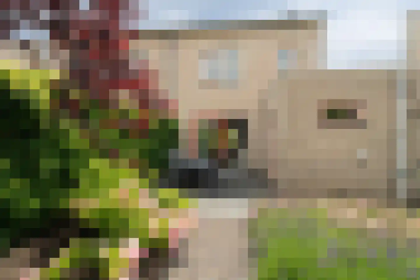Academielaan 5 Raamsdonksveer thumbnail 26