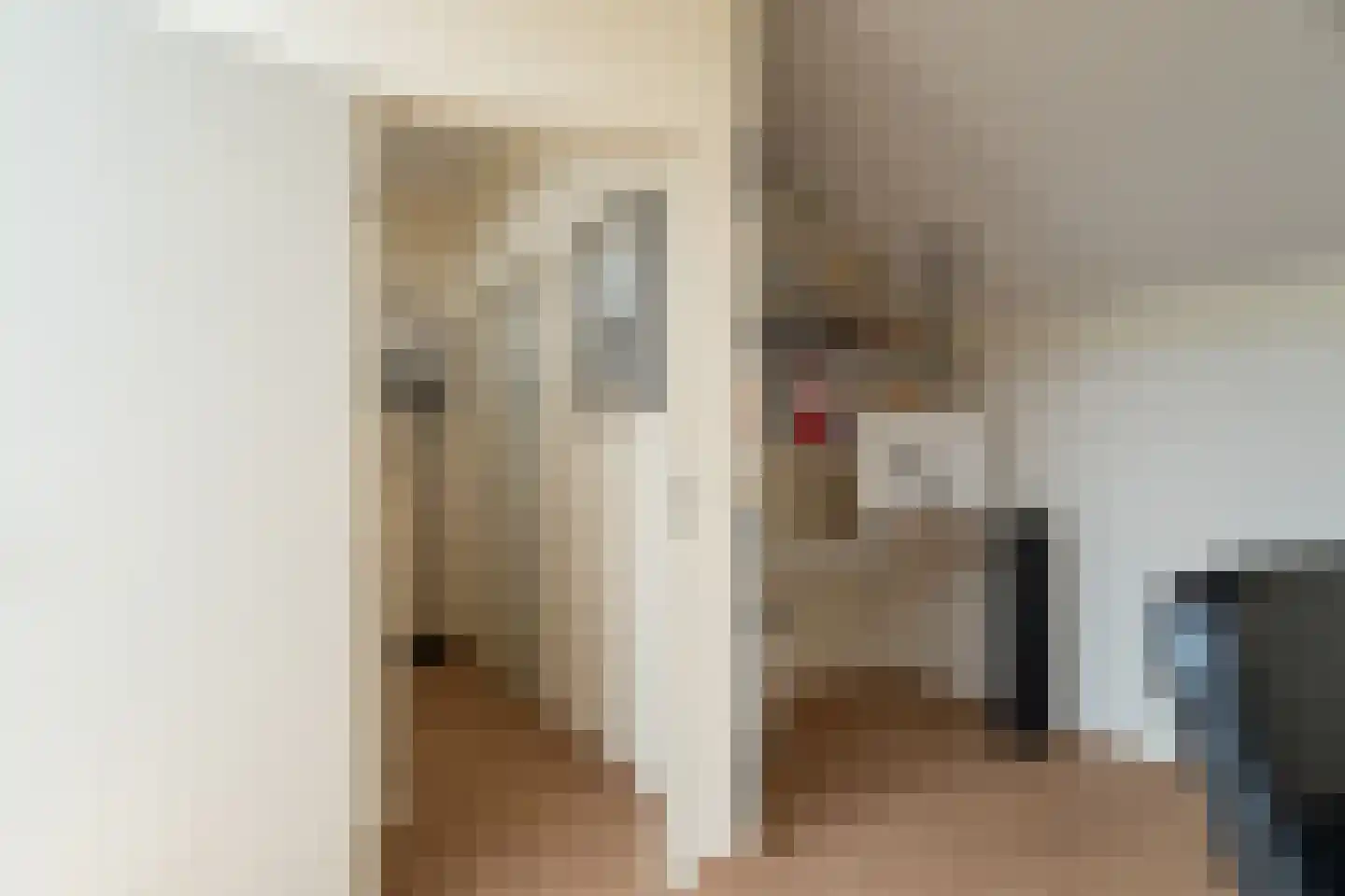 Academielaan 5 Raamsdonksveer thumbnail 36