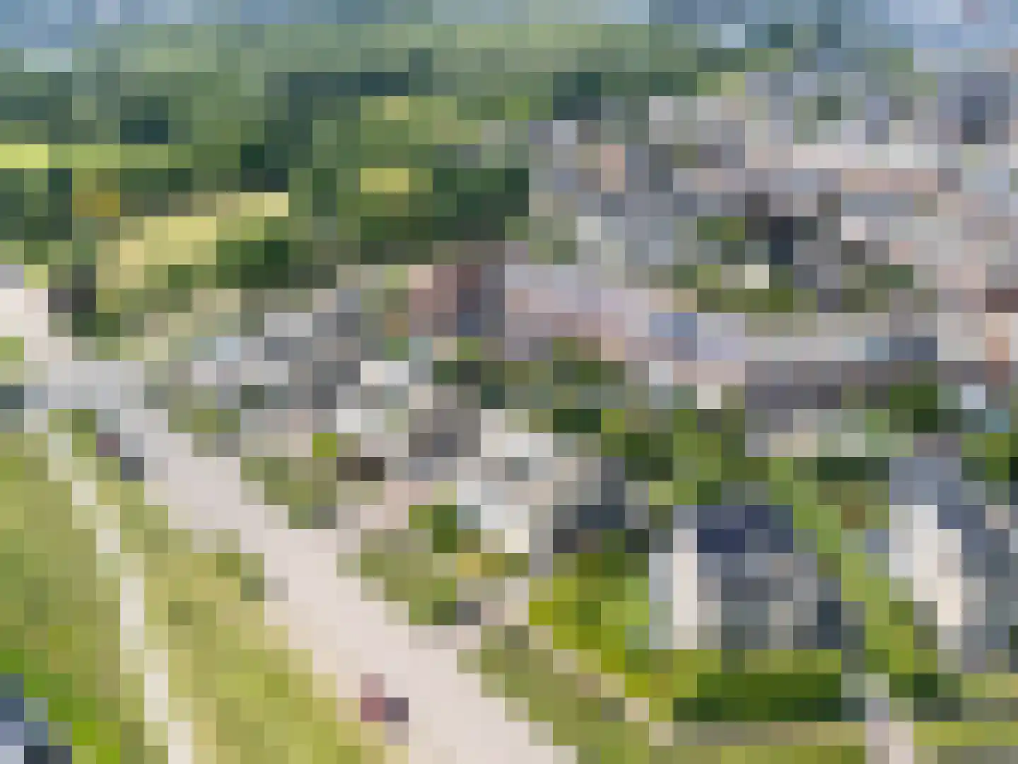 Academielaan 5 Raamsdonksveer thumbnail 40