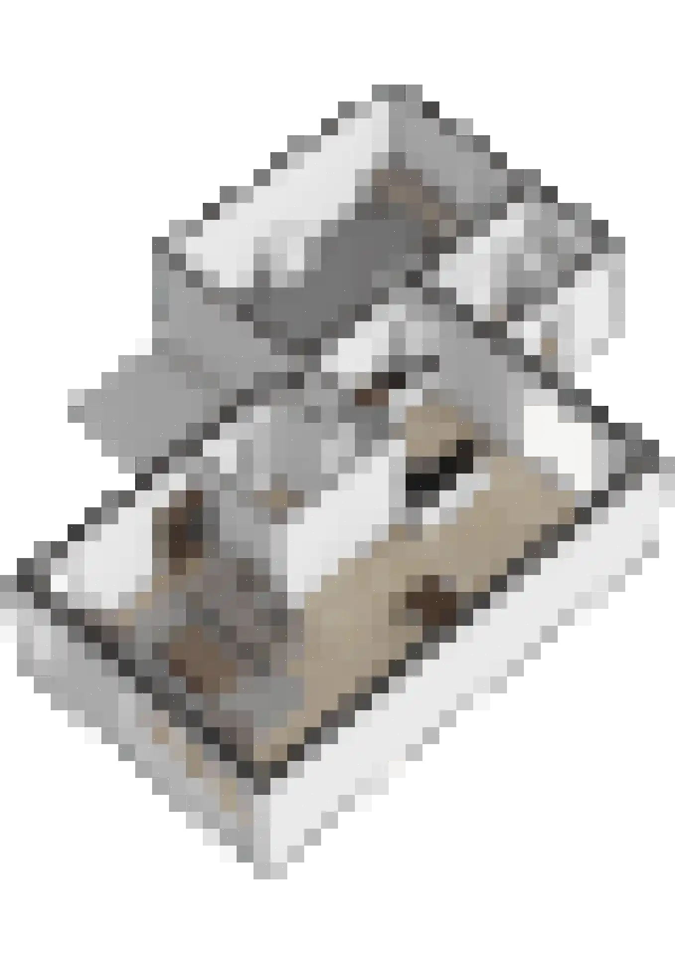 Academielaan 5 Raamsdonksveer thumbnail 46