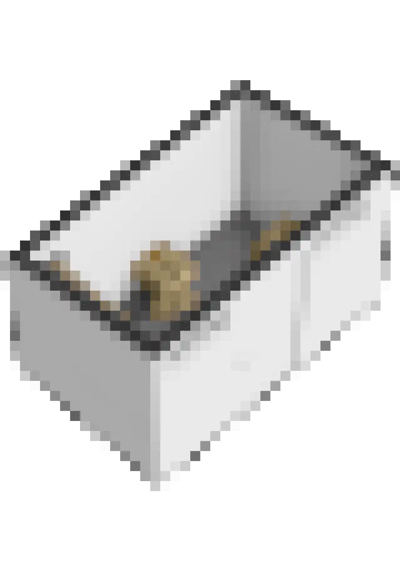 Academielaan 5 Raamsdonksveer thumbnail 47