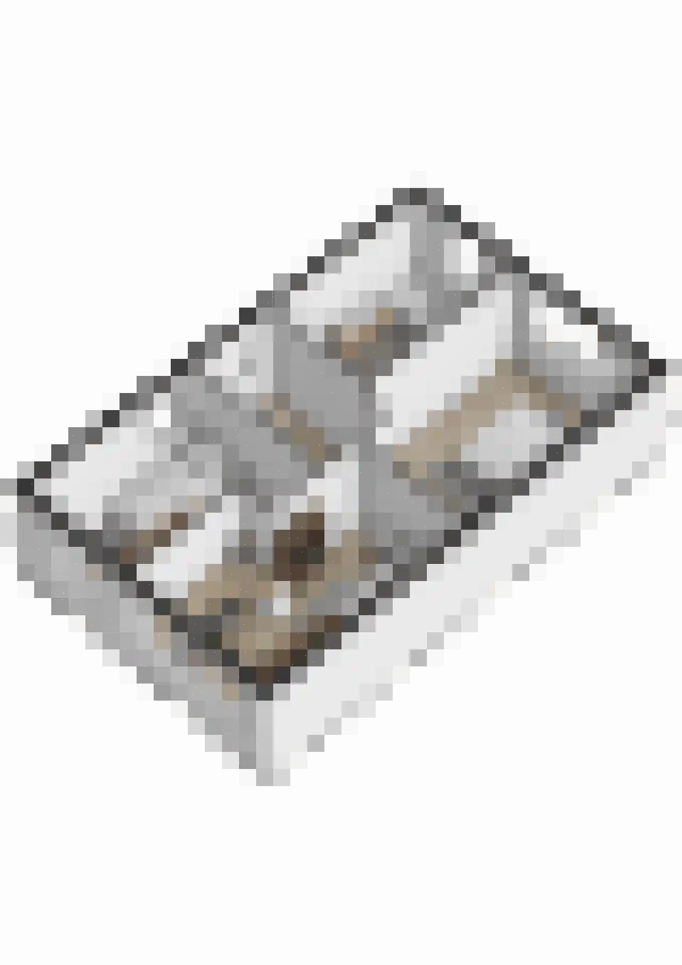 Academielaan 5 Raamsdonksveer thumbnail 48