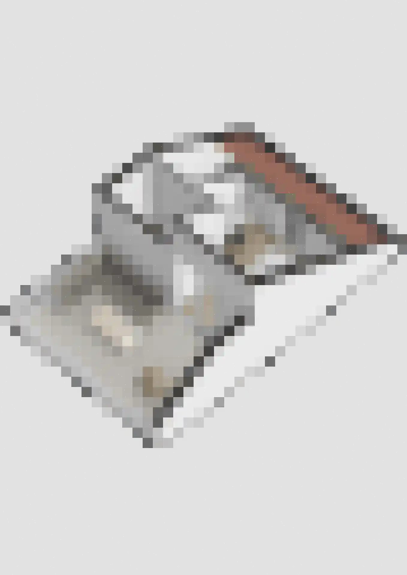 Academielaan 5 Raamsdonksveer thumbnail 50