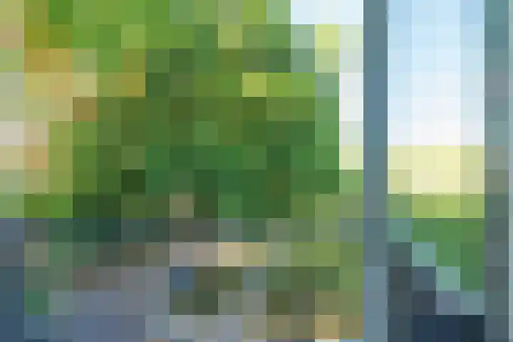 Academielaan 53 Tilburg thumbnail 14