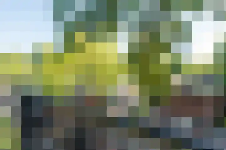 Academielaan 53 Tilburg thumbnail 19