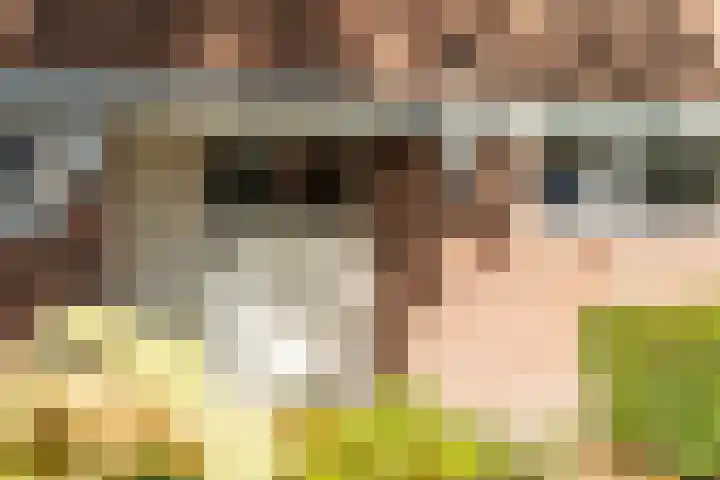 Academielaan 53 Tilburg thumbnail 29